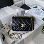 chanel-as2649-woc-wallet-on-chain-with-gold-charm-small-vintage-calfskin-bag-black-001-luxibags.ru