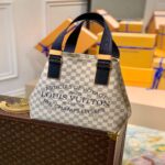 lv-n41179-louis-vuitton-cabas-pm-plan-soleil-shoulder-tote-bag-11-luxibags.ru