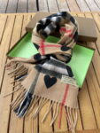 burberry-scarves-classic-scarf-b87396-9-luxibags.ru